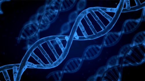 genetic testing