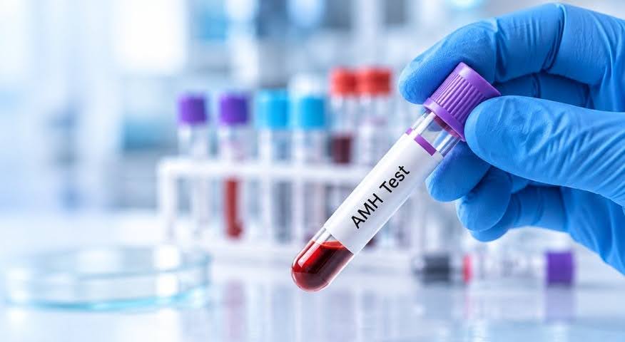 AMH Test for Females: How It&rsquo;s Done & When to Take It